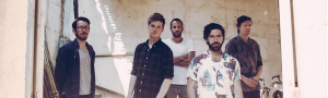 Foals