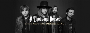 A thousand horses