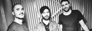 foals