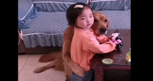 Perro defiende a niña