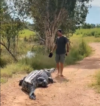 VIDEO: presentador se encuentra con un cocodrilo de 5 metros