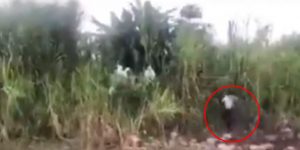 Fantasma-de-mujer-asesinada-por-su-pareja-Foto-captura-video