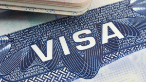 290124 - visa americana - getty