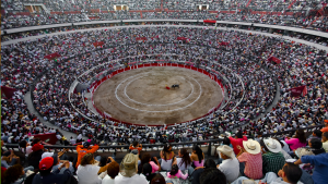 Cámara de Representantes prohíbe las corridas de toros en Colombia de manera definitiva