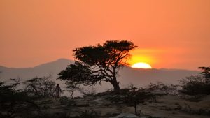 El parque nacional natural de Colombia que es un espectáculo y casi nadie conoce