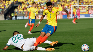 170624 - Colombia Copa América- getty