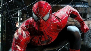 0321124 - Spider Man 4 -redes