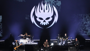 The Offspring 11124 (1)